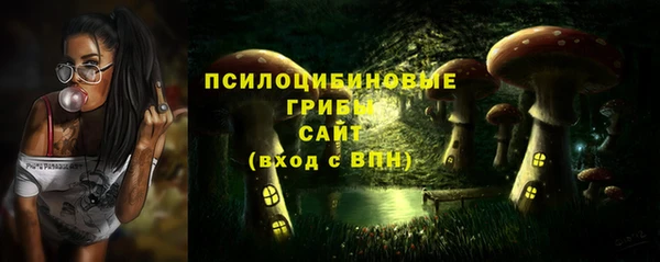 а пвп мука Алзамай