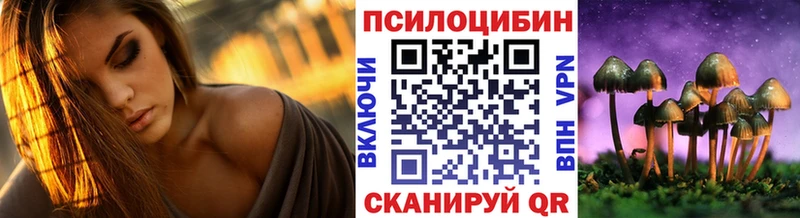 Галлюциногенные грибы мицелий  Приморск 