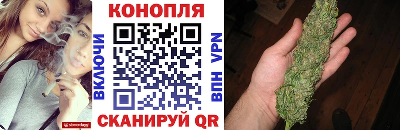 Канабис индика  Приморск 